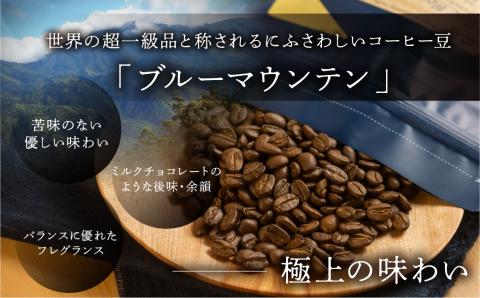 新鮮煎りたて最高級コーヒー豆（ブルーマウンテン 200g×1袋）ミディアムロースト コーヒー 珈琲 豆 下呂温泉 緑の館【17-86】