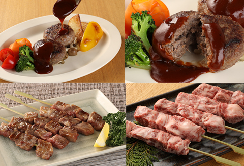 飛騨牛串焼き・飛騨牛ハンバーグセット（牛串 10本・ハンバーグ 100g×2個）最高級 国産 牛肉 ブランド牛 和牛 BBQ バーベキュー 冷凍配送 【22-33】