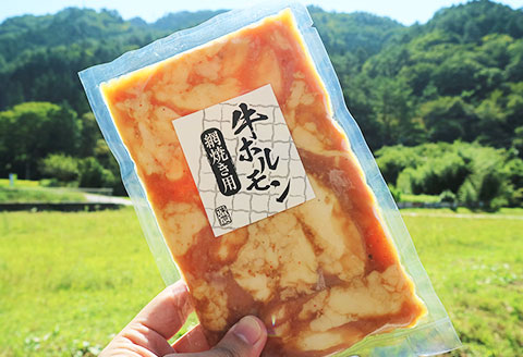 【飛騨 味職人】牛ホルモン 網焼き用（250g×10袋）飛騨 牛肉 ホルモン BBQ 味付け 贈答 ギフト もつ鍋【57-17】