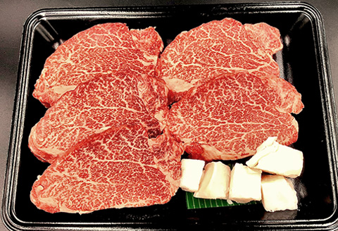 【冷凍】菊の井 飛騨牛ヒレステーキ  150g×5  牛肉 赤身 国産 ステーキ 【70-20】 飛騨牛ヒレステーキ 150g×5