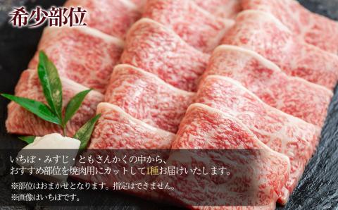 A5飛騨牛希少部位 おまかせ1種 530g いちぼ みすじ ともさんかく【冷凍】 飛騨牛 牛肉 赤身 ブランド牛 肉ギフト やきにく 焼き肉 焼肉用 【11-1019】