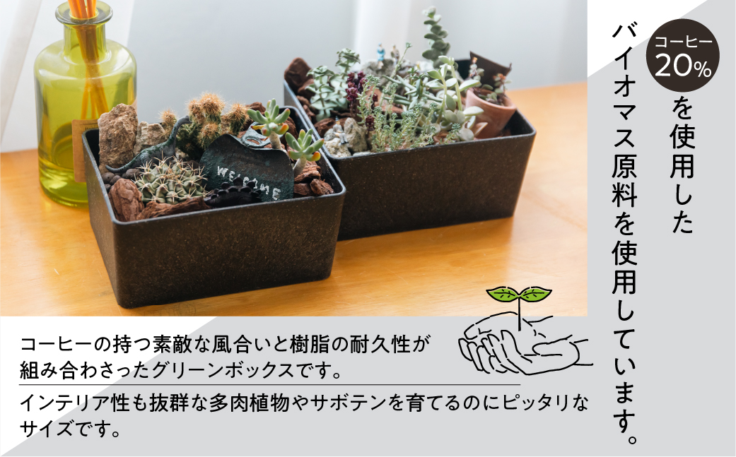 【コーヒーグラウンズ】KITOHAKO グリーンボックス １個　小物入れ ケース ボックス【103-2【2】】 【コーヒーグラウンズ】