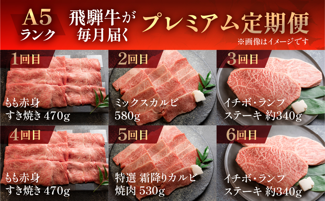 【定期便 12回】 A5 飛騨牛 天狗 牛肉 (ステーキ / 焼き肉 / すき焼き /希少部位 赤身 / 霜降り) 1年間 お楽しみ サーロイン カルビ イチボ ランプ もも 肩ロース肉 【11-O】
