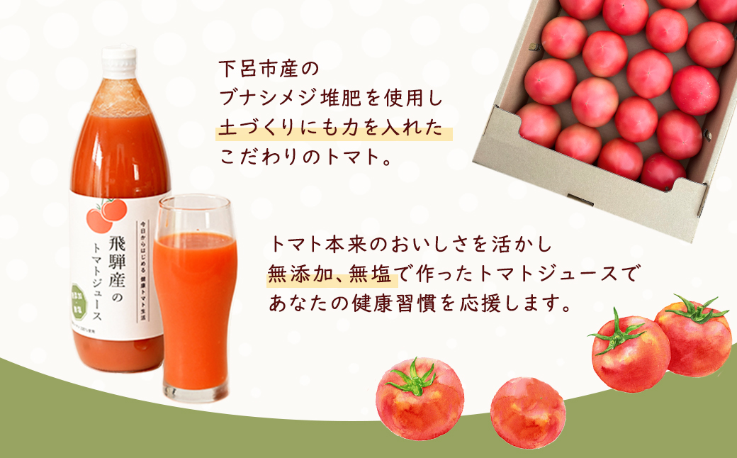 （受付終了）飛騨産 100％ 無添加トマトジュース（1L×6本入り）ギフト 贈り物 プレゼント 贈答 とまと 飲料 野菜飲料 トマト トマトジュース 野菜ジュース 無添加 無塩【113-3】 100％ 無添加トマトジュース（1L×6本入り）
