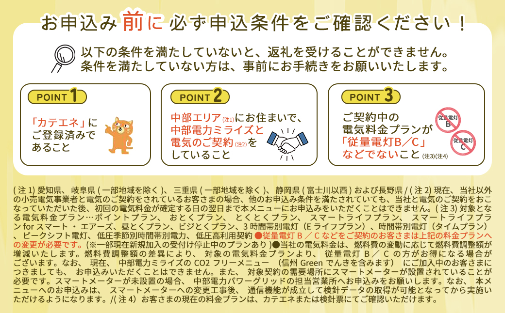 下呂市産CO2フリーでんき 200,000円コース（注：お申込み前に申込条件を必ずご確認ください）中部電力ミライズ 電気 電力 中電 中部電力 中部 電気代 電気料金 下呂市 岐阜県 愛知県 三重県 静岡県 長野県 ふるさと でんき【115-6】 200,000円コース