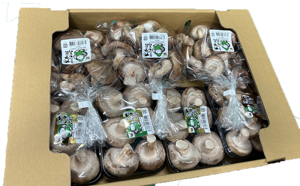  菌床生椎茸  詰め合せセット（4パック＋3袋）7品 　計1.3kg  生椎茸 しいたけ シイタケ 生しいたけ 下呂温泉 【大黒屋農園】【119-1】 椎茸 計1.3kg