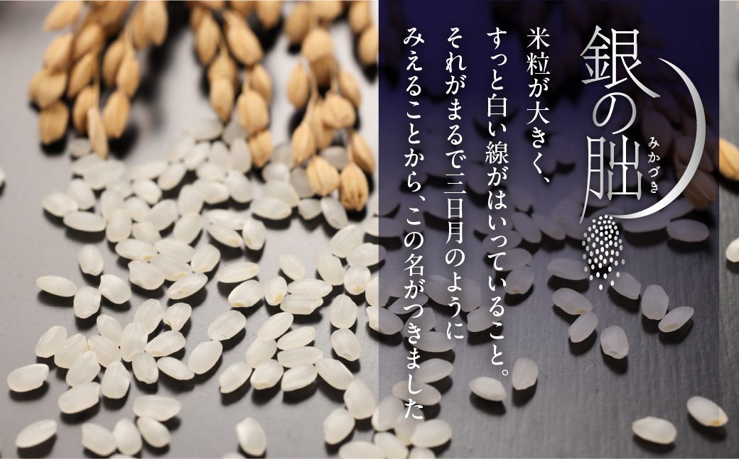 銀の王冠 銀純度92.6％ 銀4.5kg X線鑑定済み 南米？ 楽天