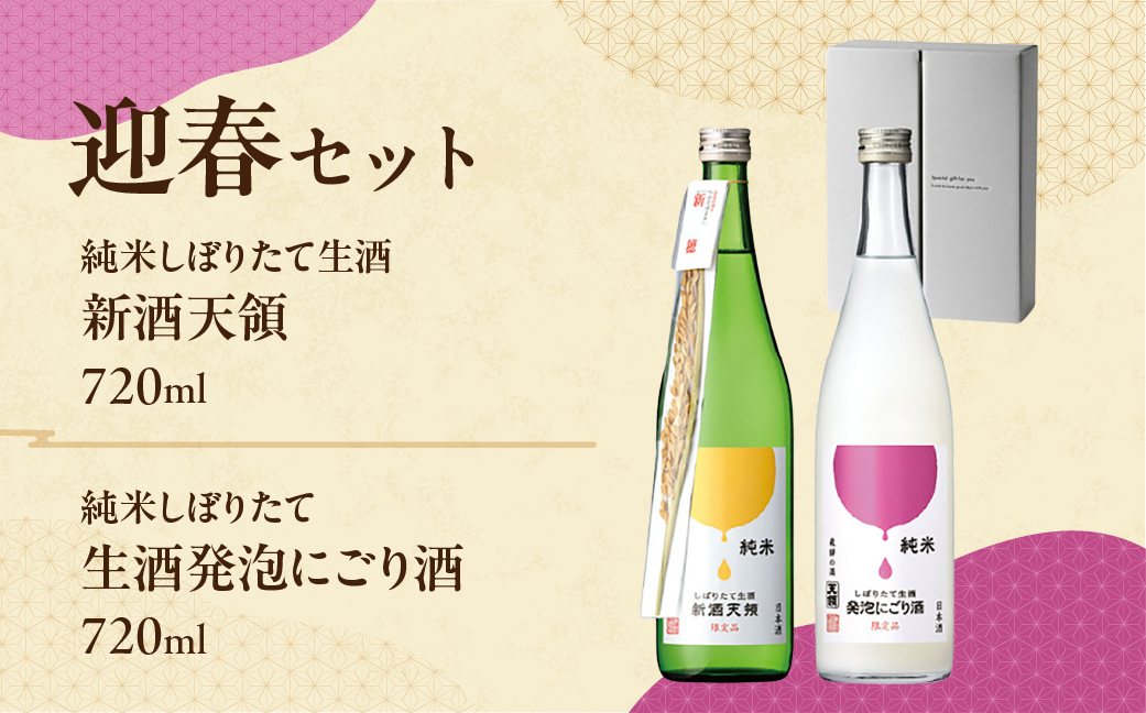（2025年11月上旬頃から順次発送）（迎春セット）純米しぼりたて生酒　新酒天領 720ml・純米しぼりたて 生酒発泡にごり酒 720ml 酒 お酒 天領酒造 天領 下呂市【2-38】
