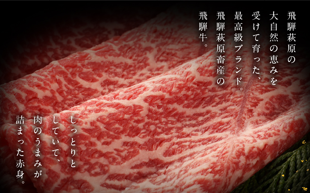 【冷凍】飛騨牛ももすき焼  300g  牛肉 国産 ブランド牛【22-4】