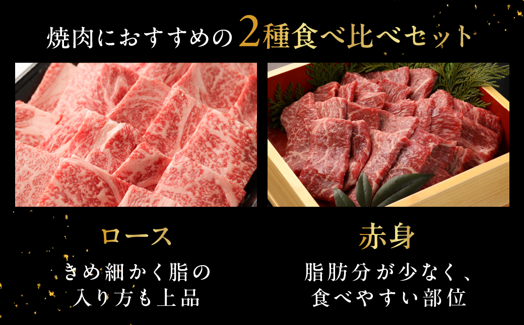 飛騨牛ロース・赤身焼肉セット（ロース200g・赤身300g）計 500g 牛肉 ブランド牛 お肉 肉 焼き肉 焼き肉用 おすすめ 飛騨萩原畜産 【冷凍配送】【22-44】
