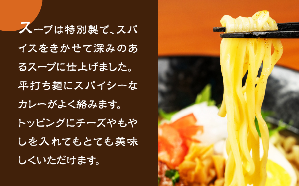 カレーラーメン 3食（100g×3 スープ付）×2箱 計6食【丸中製麺所】ラーメン 自家製麺 飛騨 下呂市 カレー 生麺 生めん【29-14】 カレーラーメン 6食