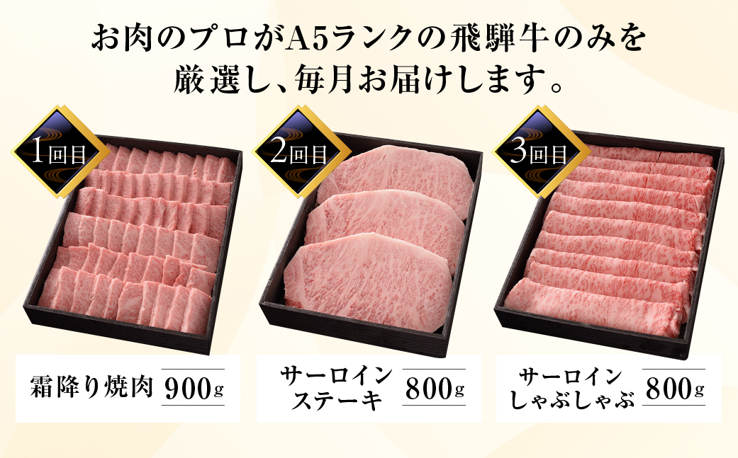 【定期便 6回】高級 飛騨牛食べ比べ 定期便 6カ月 毎月 【冷蔵配送】 定期 贈答 ギフト 牛肉 焼き肉 牛 下呂 焼肉 ブランド牛 下呂魚介【39-A】
