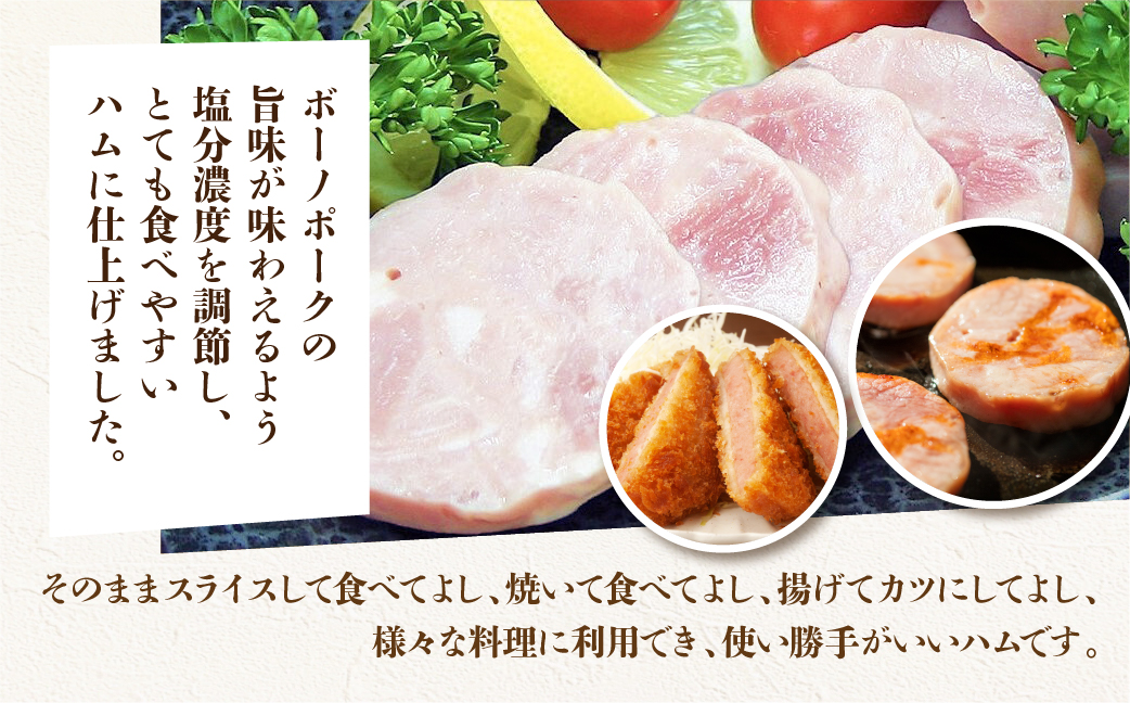 【定期便 3回】飛騨味職人「ボーノポーク満喫定期便」定期 毎月 3カ月 贈答 ギフト ウインナー ハム ベーコン おさだ食品 下呂市 下呂【57-E】