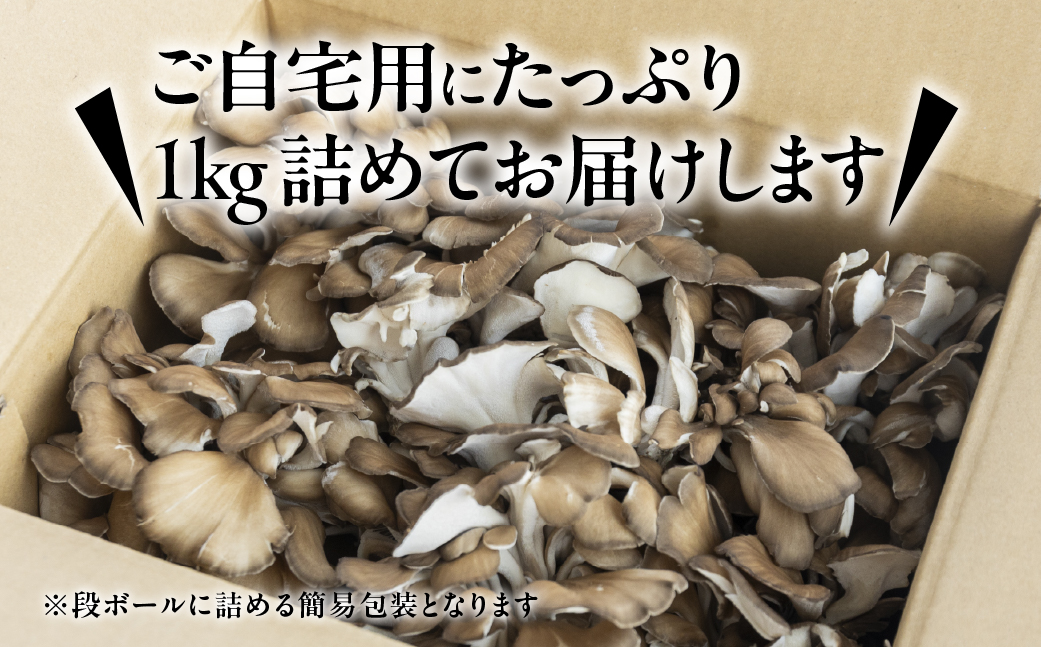 訳あり（簡易包装）飛騨舞茸 1kg マイタケ まいたけ キノコ きのこ TVで紹介された品 テレビで紹介 テレビで放送 訳アリ【60-2】 舞茸 1kg