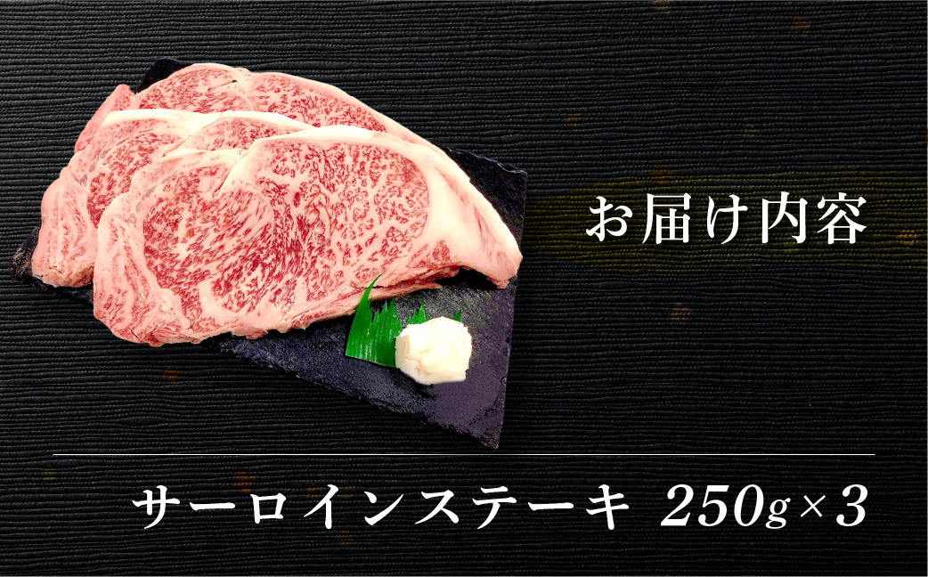 【冷凍】菊の井 飛騨牛サーロインステーキ 250g×3  牛肉 ブランド牛【70-13】 250g×3