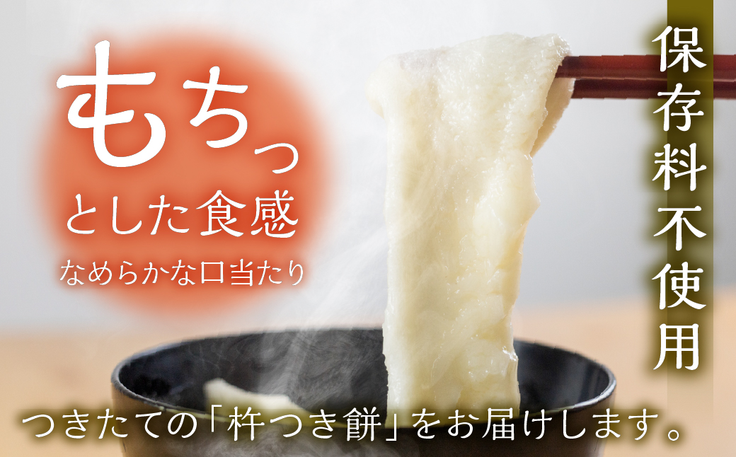 （期間限定）【2025年11月中旬頃～2026年3月下旬発送】飛騨の生切りもち 5種類セット（白餅・草餅・豆餅・きび餅・栃餅 各1枚入）のうさん糀村【87-7】