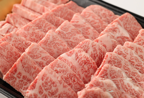 【冷凍】飛騨牛カルビ焼肉用（800g）最高級 国産 牛肉 ブランド牛 和牛 大容量 【22-25】