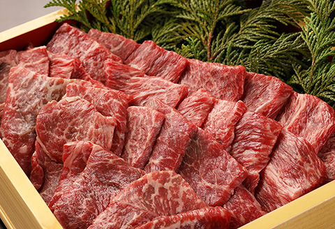 【冷凍】飛騨牛赤身焼肉セット 600g（もも焼肉 300g・かた焼肉 300g）最高級 国産 牛肉 ブランド牛 和牛  【22-27】