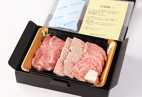【冷凍】飛騨牛希少部位焼肉セット 計450g（トモサンカク 150g・ミスジ 150g・イチボ 150g）最高級 国産 牛肉 ブランド牛 和牛  【22-28】