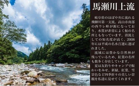 予約受付【令和8年】 (2026年5月から順次発送)  馬瀬川上流鮎年釣証 1枚 釣り 釣り券 あゆ アユ 鮎 釣券 釣り 下呂市 2026年【36-1】 馬瀬川上流鮎年釣証