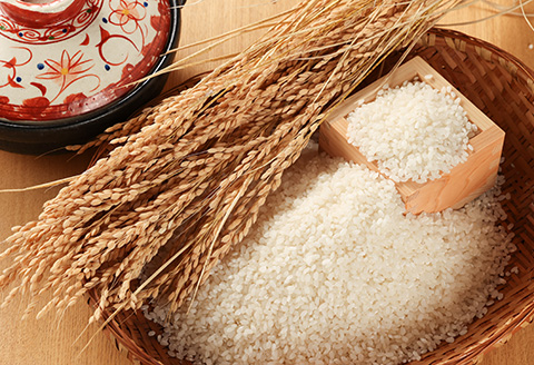 【令和7年産米】【定期便】こしひかり 5kg×3回 すがたらいす 下呂市金山産 2025年産 毎月 お米 米 精米 コシヒカリ 下呂温泉 下呂市 毎月 定期【51-C】 令和7年産米【定期便】こしひかり 5kg×3回