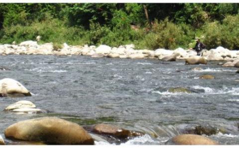 予約受付 (2026年1月から順次発送)【令和8年】馬瀬川下流 雑魚年釣券（２月21日(土)解禁） 渓流釣り アマゴ イワナ あまご いわな 2026年【26-5】 「馬瀬川下流」雑魚年釣券