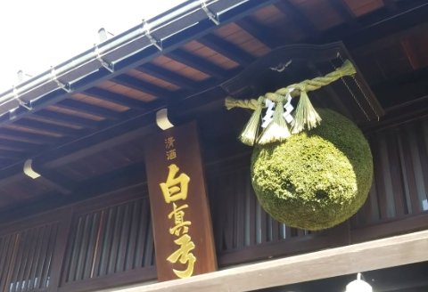 日本酒ライフに彩りを！杉玉直径40㎝。自宅やお店のインテリアに【67-2】