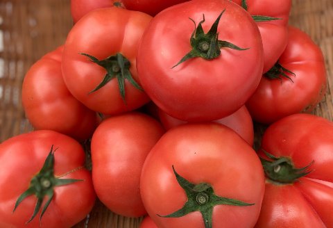 ≪有機JAS認証≫【飛騨産】麗月トマトジュースセット　3種飲み比べ（180ml×各1本）【61-4】