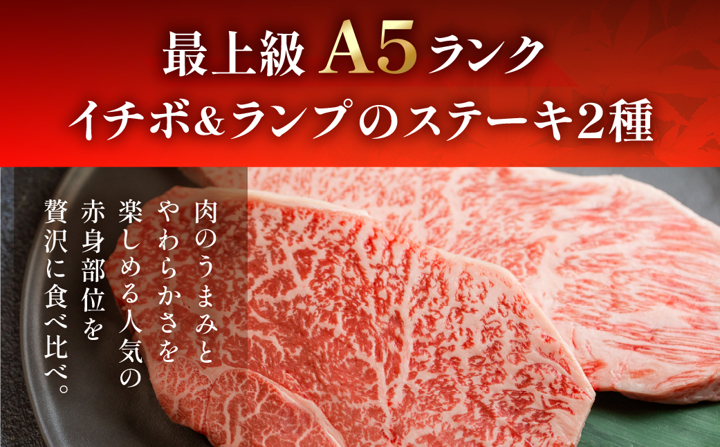 A5飛騨牛いちぼ・ランプステーキ 約340g(約170g×各1枚) イチボ らんぷ【冷凍】飛騨牛 牛肉 赤身 ブランド牛 肉ギフト ランプ ステーキ【11-1024】