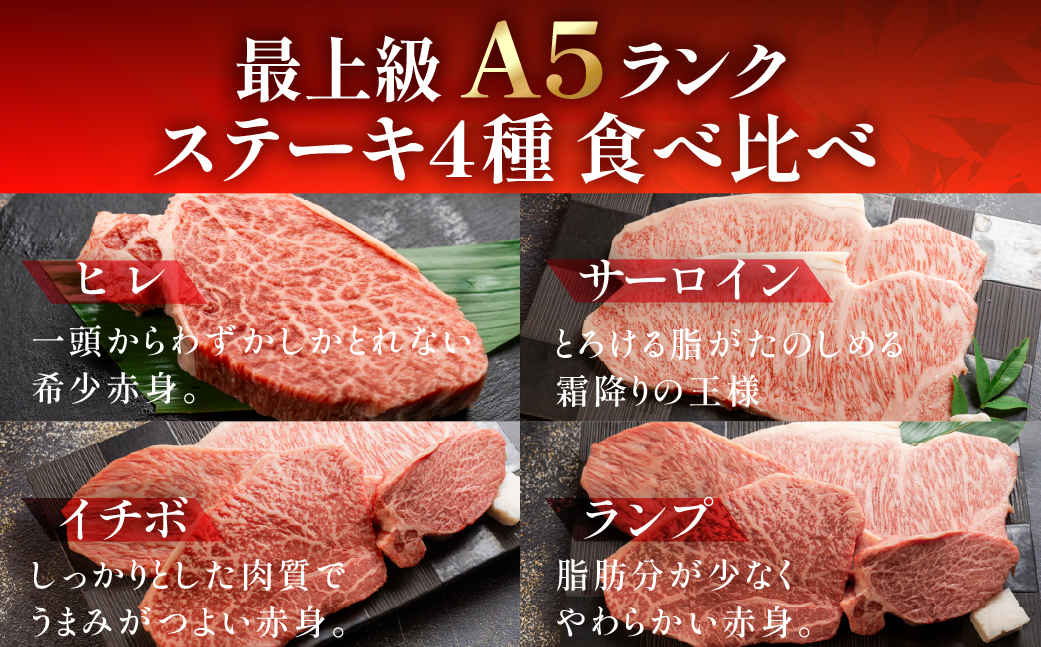 飛騨牛ステーキ食べ比べセット【ヒレ 約140g （1枚）/ サーロイン約190g（1枚） ・イチボ ・ランプ  各 約180g（1～2枚）　計 約690g】【冷凍】ブランド牛 牛肉 国産 下呂温泉 牛