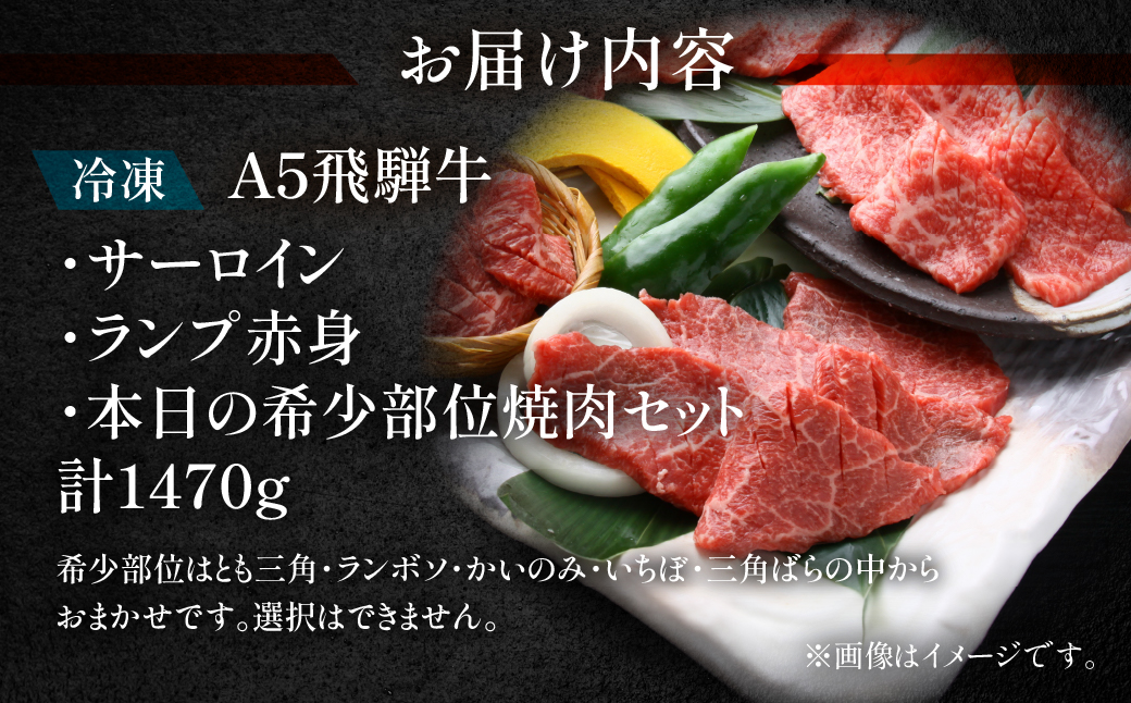 【冷凍】飛騨牛サーロイン・ランプ赤身・本日の希少部位焼肉セット 各490g【11-48】