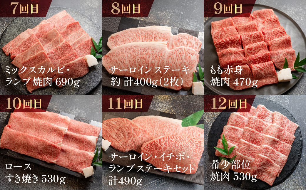 【定期便 12回】 A5 飛騨牛 天狗 牛肉 (ステーキ / 焼き肉 / すき焼き /希少部位 赤身 / 霜降り) 1年間 お楽しみ サーロイン カルビ イチボ ランプ もも 肩ロース肉 【11-O】