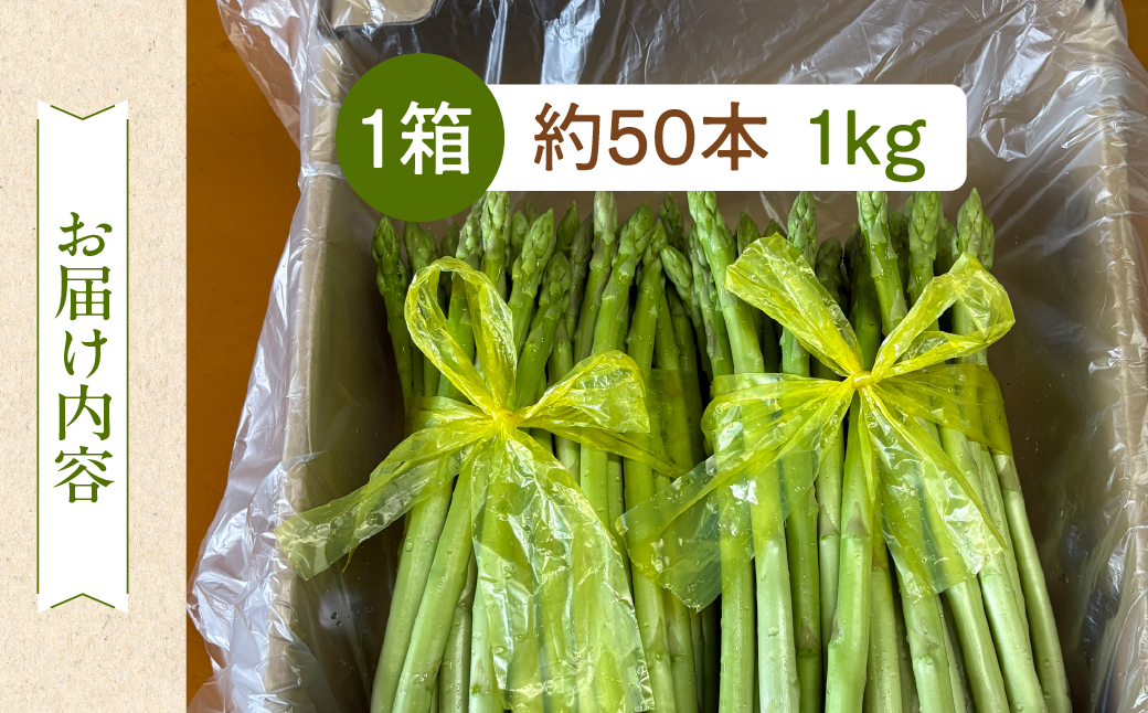 先行予約（2026年5月から順次発送）高級アスパラガス 隆至の龍 1kg（約50本入り）レギュラーサイズ アスパラ 下呂市  限定 こだわり ブランド 期間限定【大黒屋農園】【119-2】 アスパラ 1kg（約50本入り）