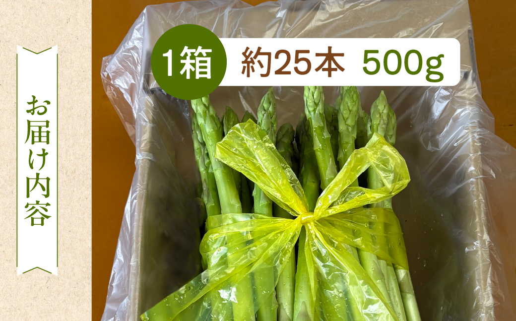 先行予約（2026年5月から順次発送）高級アスパラガス 隆至の龍 500g（約25本入り）レギュラーサイズ アスパラ 下呂市 期間限定 限定 こだわり ブランド【大黒屋農園】【119-3】 アスパラ 500g（約25本入り）