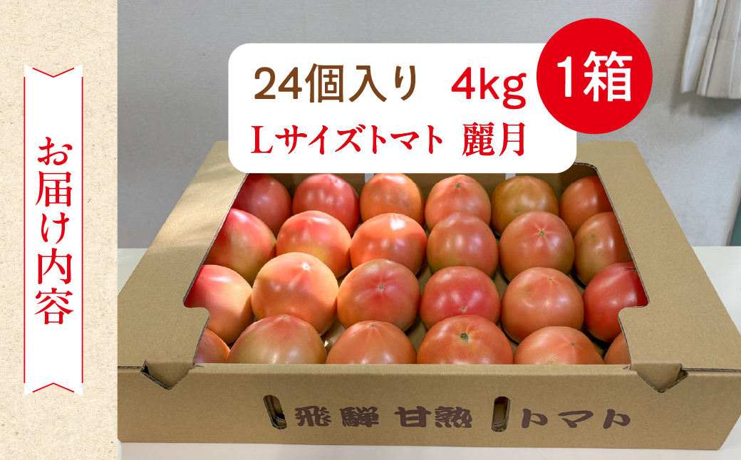 先行予約（2026年7月上旬頃から順次発送）大黒屋農園 甘塾トマト 麗月 Ｌサイズ 4kg レイゲツ とまと 下呂市 期間限定【大黒屋農園】【119-4】 トマト Ｌサイズ 4kg