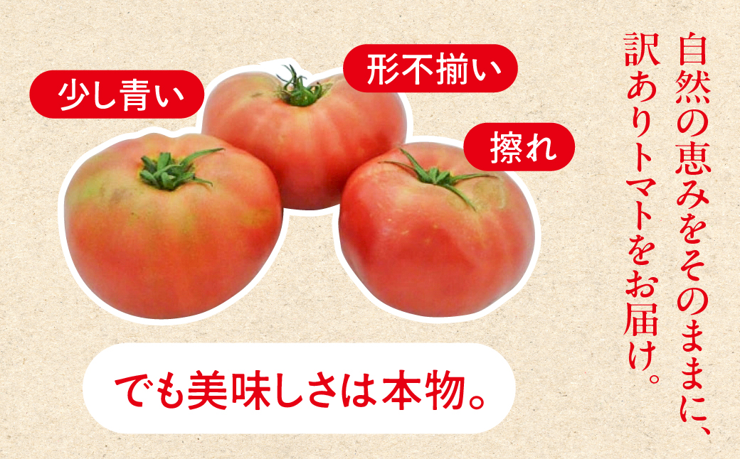  先行予約  訳あり（2026年7月上旬頃から順次発送）大黒屋農園 甘塾トマト 麗月 2Ｌ～3Ｌ 大サイズ 4kg以上 レイゲツ とまと 下呂市 期間限定【大黒屋農園】【119-5】  訳ありトマト 2Ｌ～3Ｌ 大サイズ 4kg