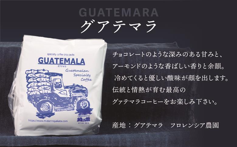 緑の館/ドリップ3種（モカ・グリーンミックス・グアテマラ 各5杯）（計15杯）セット コーヒー コーヒードリップ ドリップバック ドリップパック 飲み比べ 珈琲 グリーンハウスコーヒー 下呂市 ドリップバッグ ドリップパック ドリップバック【17-104】 ドリップ3種（モカ・グリーンミックス・グアテマラ 各5杯）（計15杯）