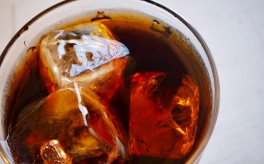 緑の館 / リキッドアイスコーヒー無糖 1000ml×2本 コーヒー １L×2本（2L）珈琲 アイス珈琲 下呂温泉 緑の館 アイスコーヒー アイス珈琲 下呂市【17-120】