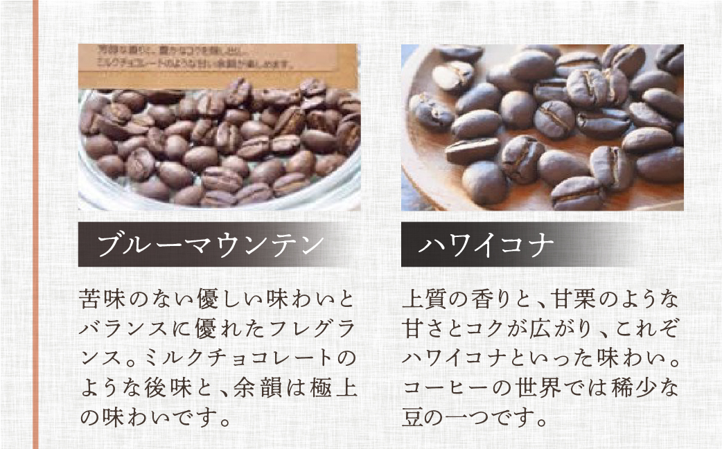 高級ドリップパックアソート30杯分ギフトセット（ブルーマウンテン、ハワイ・コナ、ロイヤルブレンド、レギュラーブレンド、モカスペシャルブレンド、グアテマラ各5杯）コーヒー 珈琲 ドリップ 下呂温泉 緑の館 ギフト 贈り物 ドリップバッグ ドリップパック ドリップバック【17-30】