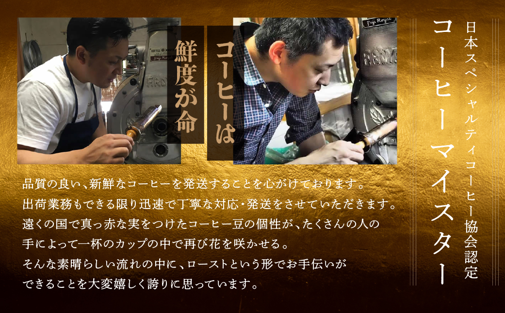 【毎月 定期便 全3回】緑の館 レギュラー50杯分（5杯入り×10P）×3回分 毎月発送 コーヒー レギュラーブレンド 自家焙煎珈琲店 ドリップ 下呂温泉【17-B】
