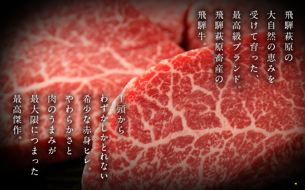 【冷凍】飛騨牛ヒレステーキ （120g×3枚） 牛肉 国産 ブランド牛  【22-18】