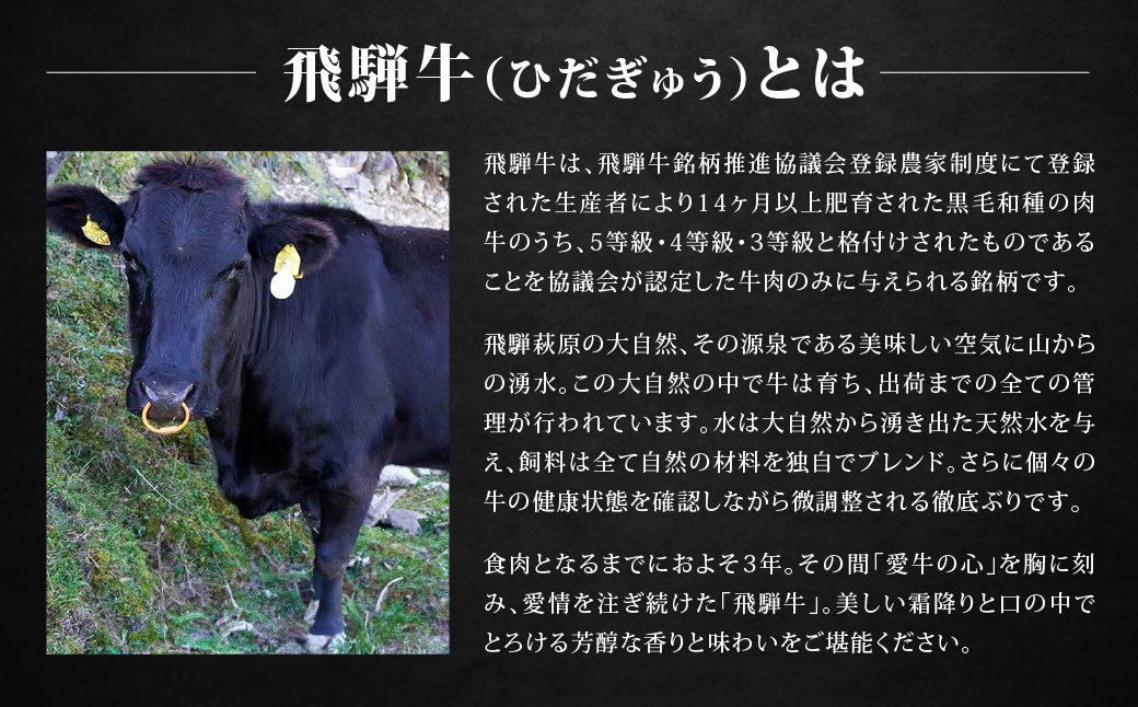 【BOXカラー 茶】飛騨牛 10品から選べる！カタログギフト 10000円分 牛肉 肉ギフト あとから選べる 肉贈 にくぞう ブランド牛 肉 贈答 ギフト プレゼント カタログ 選べる 後から選べる おすすめ 飛騨萩原畜産【22-45【2】】 【BOXカラー 茶】