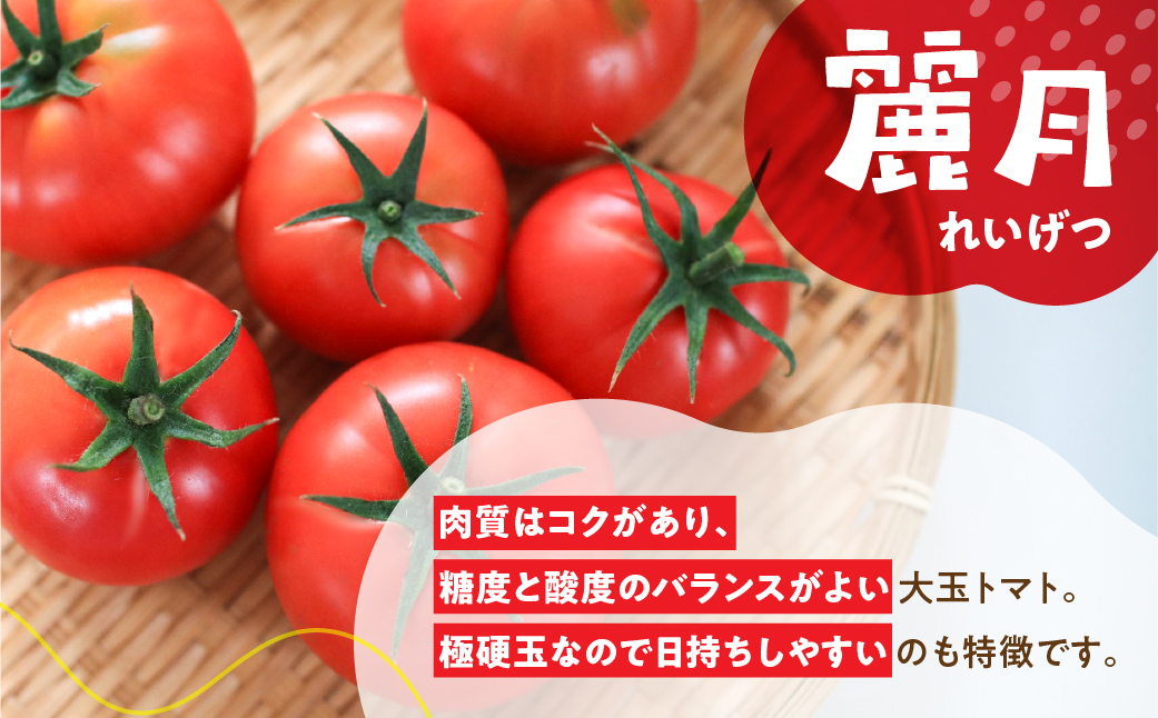 先行予約 ≪期間限定≫（2026年7月中旬頃から順次発送）産地直送！飛騨トマト 麗月大玉20玉（4kg） 下呂市 とまと トマト 新鮮【27-1】