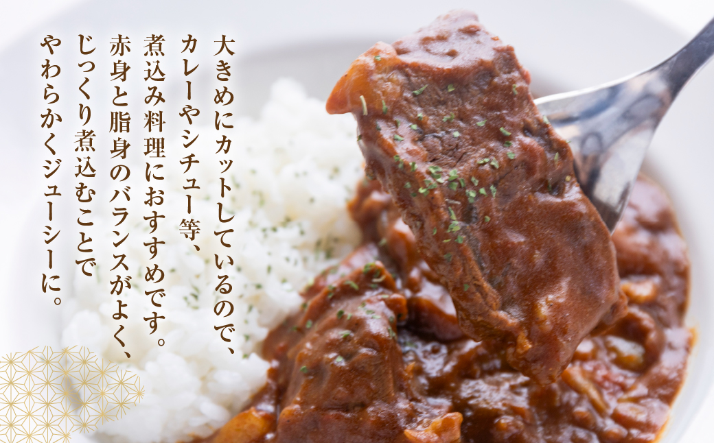 飛騨牛 煮込み用 スネ肉切り落とし 1kg（500g×2）冷蔵 牛肉 ブランド牛 牛 下呂市 GGシェフ 下呂魚介【39-40】