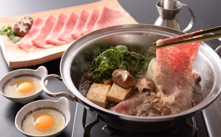 【最高級】飛騨牛A5ランク サーロインしゃぶしゃぶ 500g 【39-42】 500g