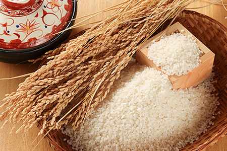 【令和7年産米】【定期便】こしひかり 5kg×6回 すがたらいす 下呂市金山産 2025年産 毎月 お米 米 精米 コシヒカリ 下呂温泉 下呂市 毎月 定期【51-C】 令和7年産米【定期便】こしひかり 5kg×6回