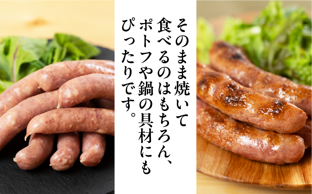 【飛騨 味職人】手作りあらびきウインナー 1kg  【57-8】