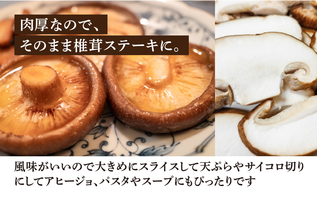 【期間限定】菌床生椎茸　詰め合わせ 1.2kg  しいたけ シイタケ 生しいたけ 下呂温泉【71-3】