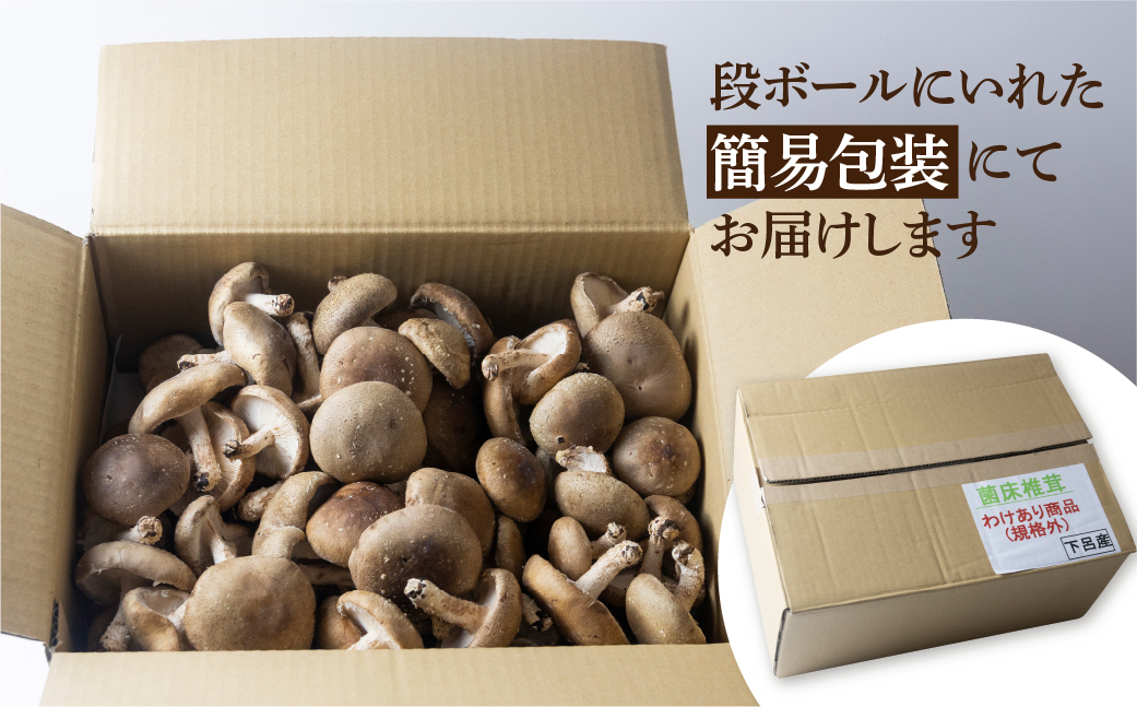 訳あり 不揃い【期間限定】菌床生椎茸　詰め合わせ 2kg（大・小・形 混合）生椎茸 規格外 訳アリ ふぞろい しいたけ シイタケ 生しいたけ 下呂温泉【71-6】