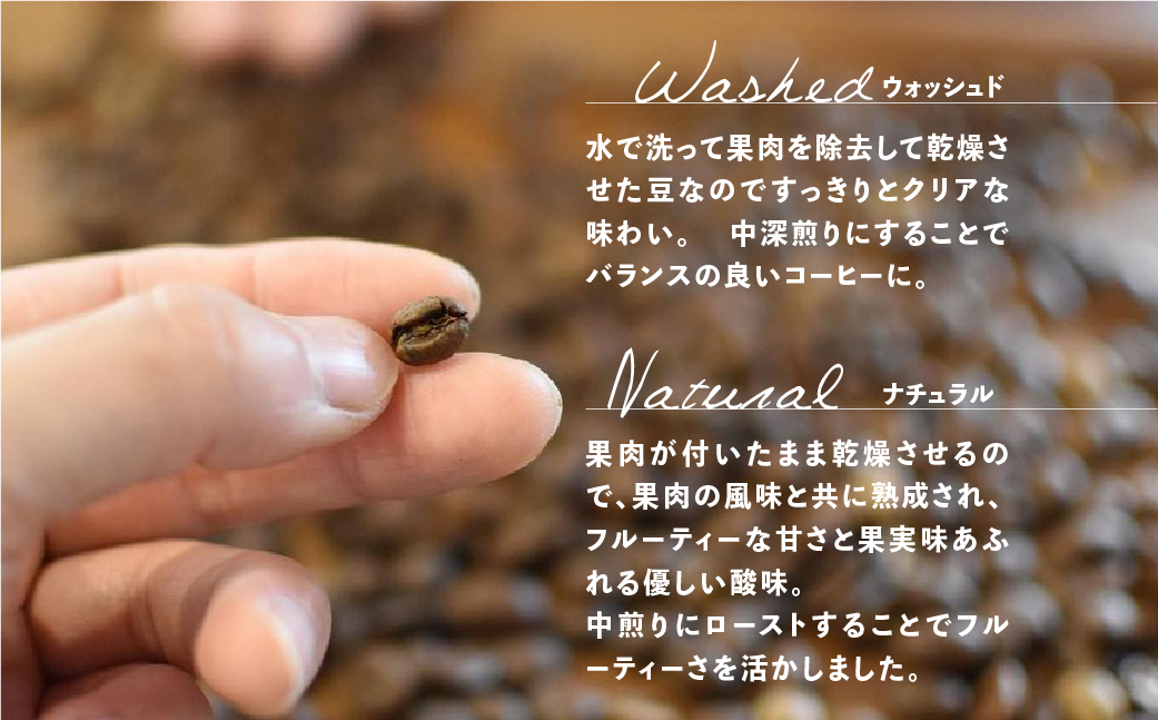 「Kaung day」ミャンマースペシャルティコーヒー豆 2種セット（ウォッシュド・中深煎り　/　ナチュラル・中煎り（各100g））（豆）コーヒー 珈琲 コーヒー豆 カウンデー【98-1】